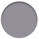 Silver Shadow