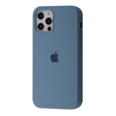 Чохол Silicone Case Full iPhone 12/12 Pro (cactus)