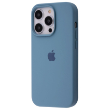 Чохол Silicone Case Full iPhone 13 Pro Max (cactus)