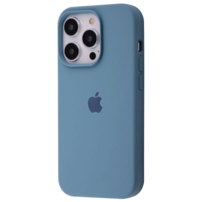 Чохол Silicone Case Full iPhone 13 Pro Max (cactus)