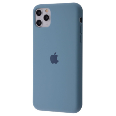 Чохол Silicone Case Full iPhone 11 Pro (cactus)