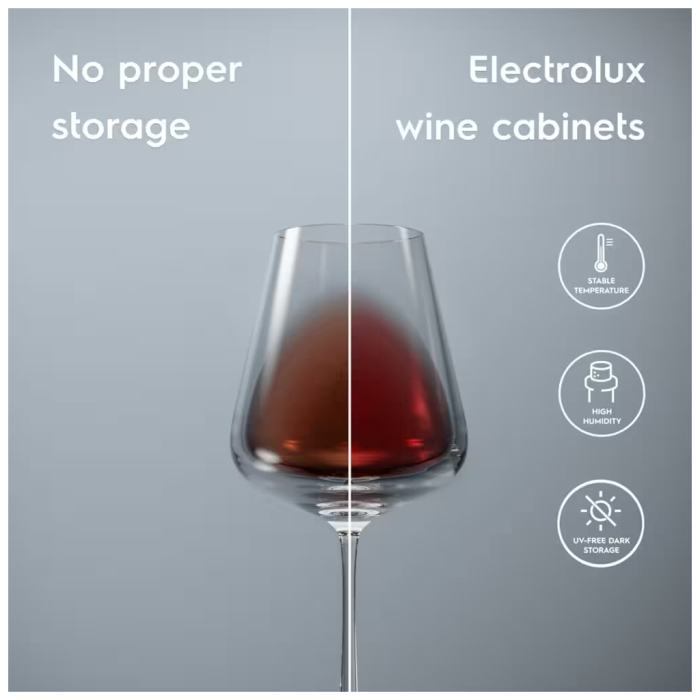 Холодильник Electrolux EWUS020B5B UA