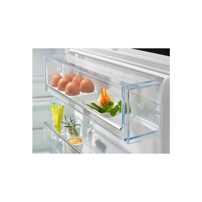 Холодильник Electrolux RNT6TE19S0 UA