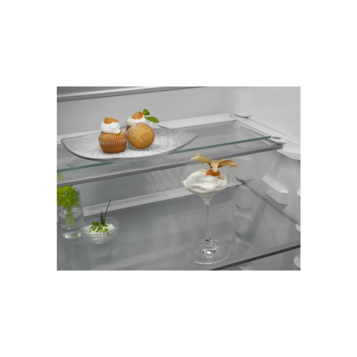 Холодильник Electrolux RNT6TE19S0 UA