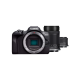 Canon EOS R100 kit 18-45mm + 55-210mm IS STM 