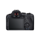 Canon EOS R6 Mark II Body + EOS R Mount Adapter