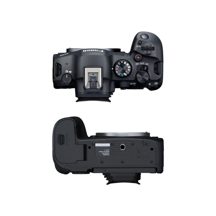 Canon EOS R6 Mark II Body + EOS R Mount Adapter