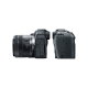 Canon EOS R8 kit RF 24-50mm IS STM 