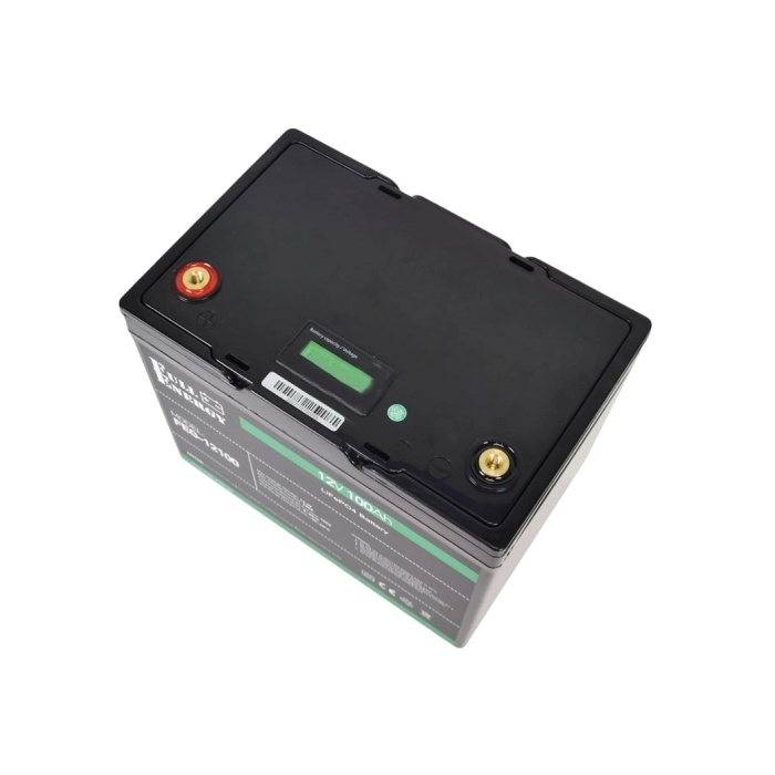Акумулятор FEG-12100