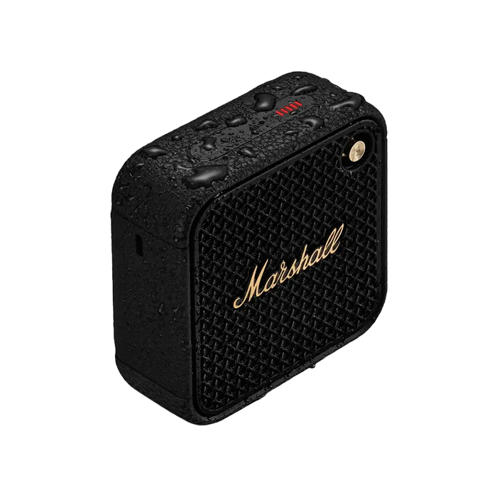 Marshall Willen II Black and Brass
