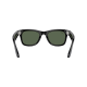 Ray-Ban Meta Wayfarer Shiny Black Frame Green Lenses