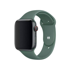 Ремінець Apple Watch Sport Band 42/44/45/49 mm (M) 2pcs (pine green)