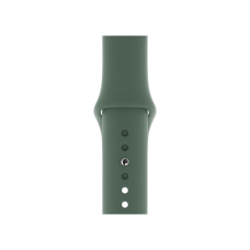 Ремінець Apple Watch Sport Band 38/40/41 mm (S) 2pcs (pine green)