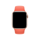 Спортивний ремінець для Apple Watch 38/40 мм - Clementine (copy)