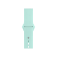 Спортивний ремінець для Apple Watch 38/40 мм - Marine Green (copy)