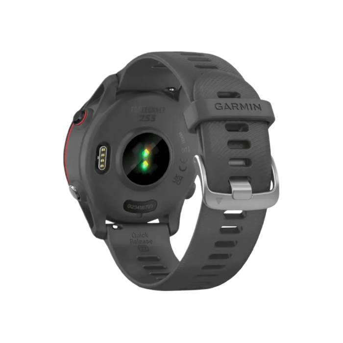 Garmin Forerunner 255 Slate Gray