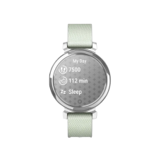 Garmin Lily 2 Classic Silver with Sage Gray Nylon Band (010-02839-15)
