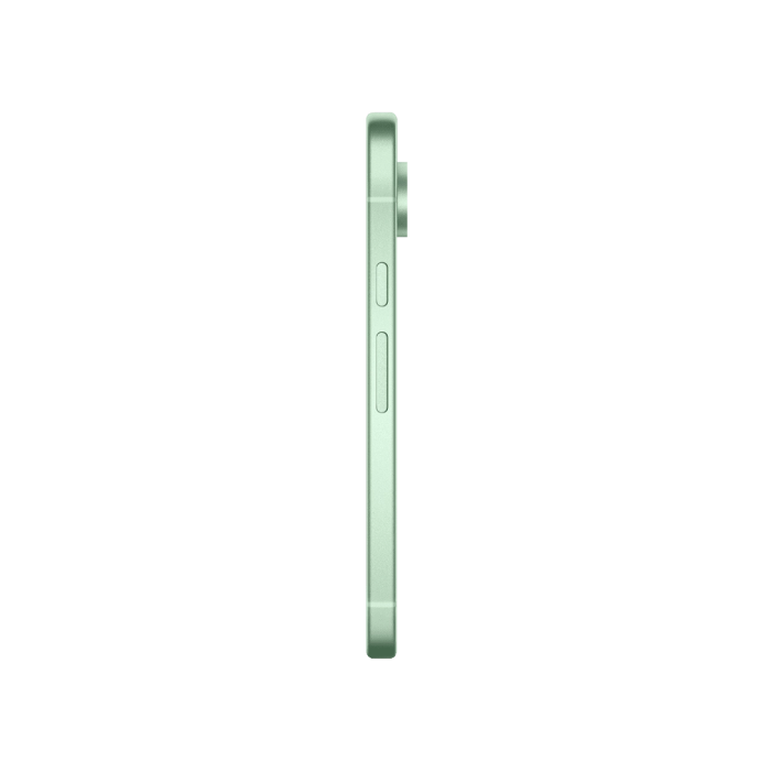 Google Pixel 9 12/128GB Wintergreen