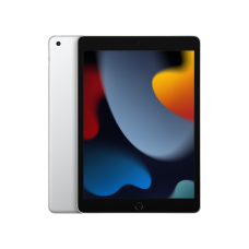 Apple iPad 10.2 2021 Wi-Fi 256GB Silver (MK2P3)