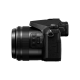 Panasonic Lumix DMC-FZ2000