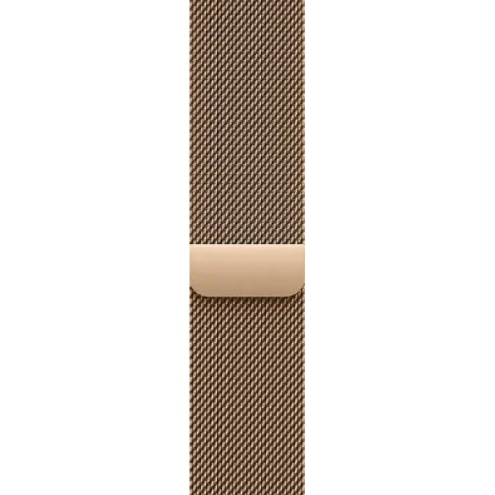 Apple Watch Series 10 42mm GPS + Cellular Gold Titanium Case w. Gold Milanese Loop