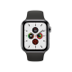 Apple Watch Series 5 4G 40mm Space/Black (MWWQ2/MWX32)