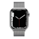 Apple Watch Series 7 GPS + Cellular 41mm Silver Titanium