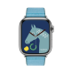 Apple Watch Hermès Series 9 GPS + Cellular, 41mm Silver Stainless Steel Case with Bleu Céleste/Bleu Jean Twill Jump Single Tour