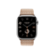 Apple Watch Hermès Series 9 GPS + Cellular 45mm Silver Stainless Steel Case with Gold/Ecru Toile H Single Tour