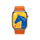 Apple Watch Hermès Series 9 GPS + Cellular 45mm Silver Stainless Steel Case with Orange/Kaki Twill Jump Single Tour