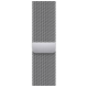 Apple Watch Series 9 GPS + Cellular 41mm Silver S. Steel Case w. Silver Milanese Loop