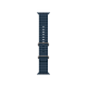 Apple Watch Ultra 2 GPS + Cellular 49mm Titanium/Blue Ocean Band (Вживаний)