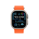 Apple Watch Ultra 2 GPS + Cellular 49mm Titanium Case with Orange Ocean Band (MREH3)
