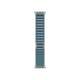 Apple Watch Ultra 3 GPS + LTE, 49mm Natural Titanium Case with Light Blue Alpine Loop - Medium