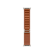 Apple Watch Ultra 3 GPS + LTE, 49mm Natural Titanium Case with Terra Cotta Alpine Loop - Large